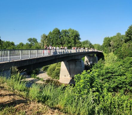 pont.jpg